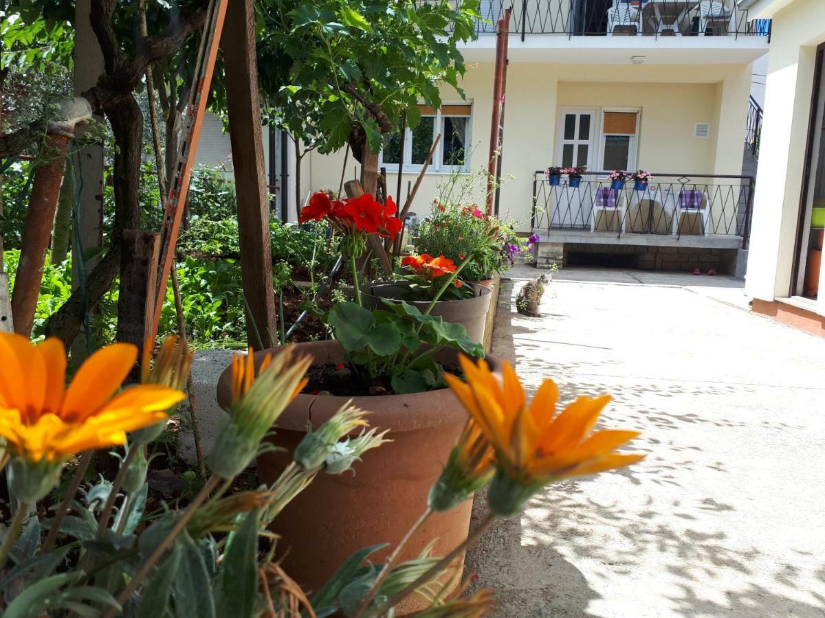 Apartments Marija زادار المظهر الخارجي الصورة